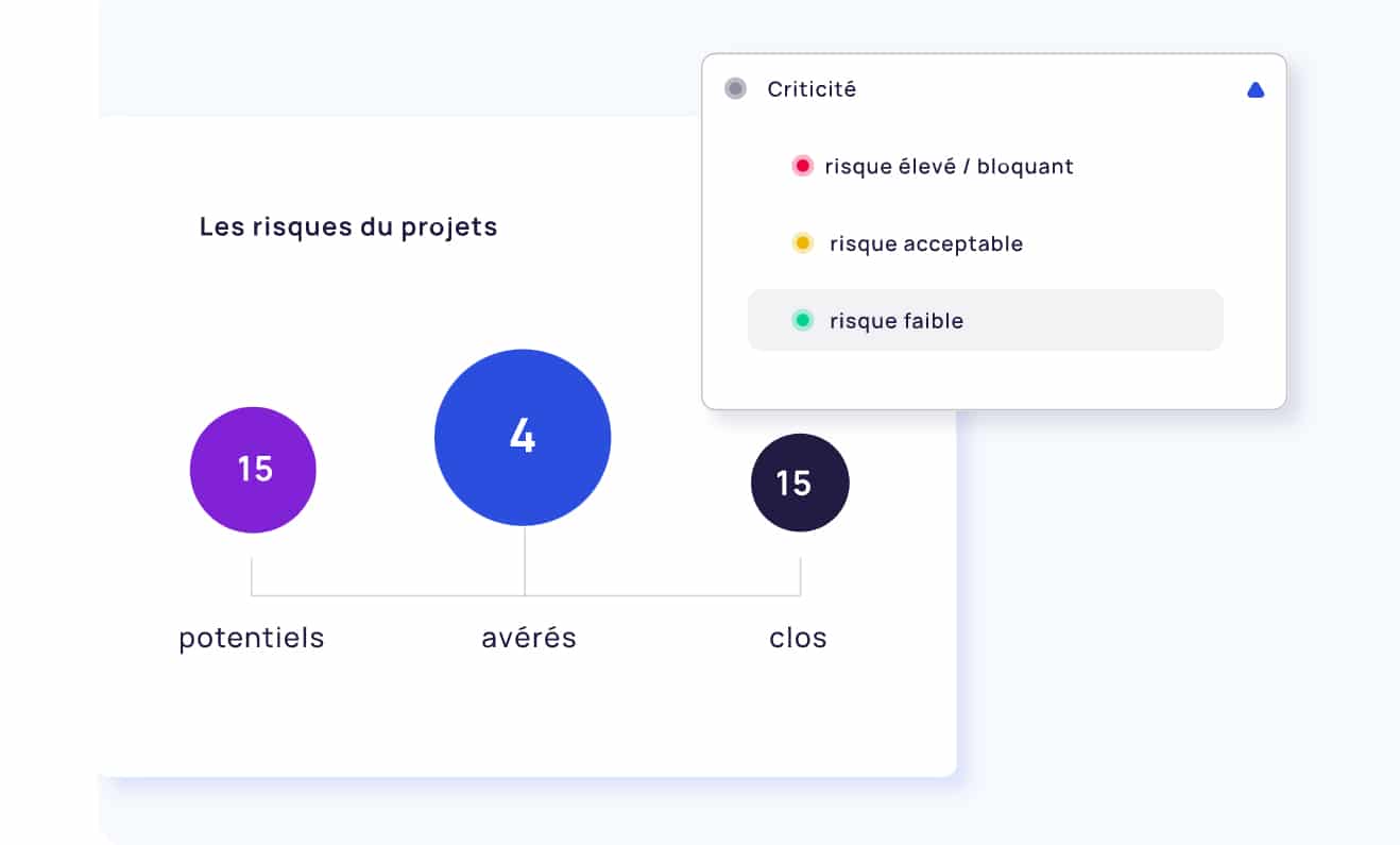 Visualisation et gestion des risques projets avec Facility