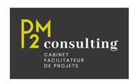 P2M Consulting